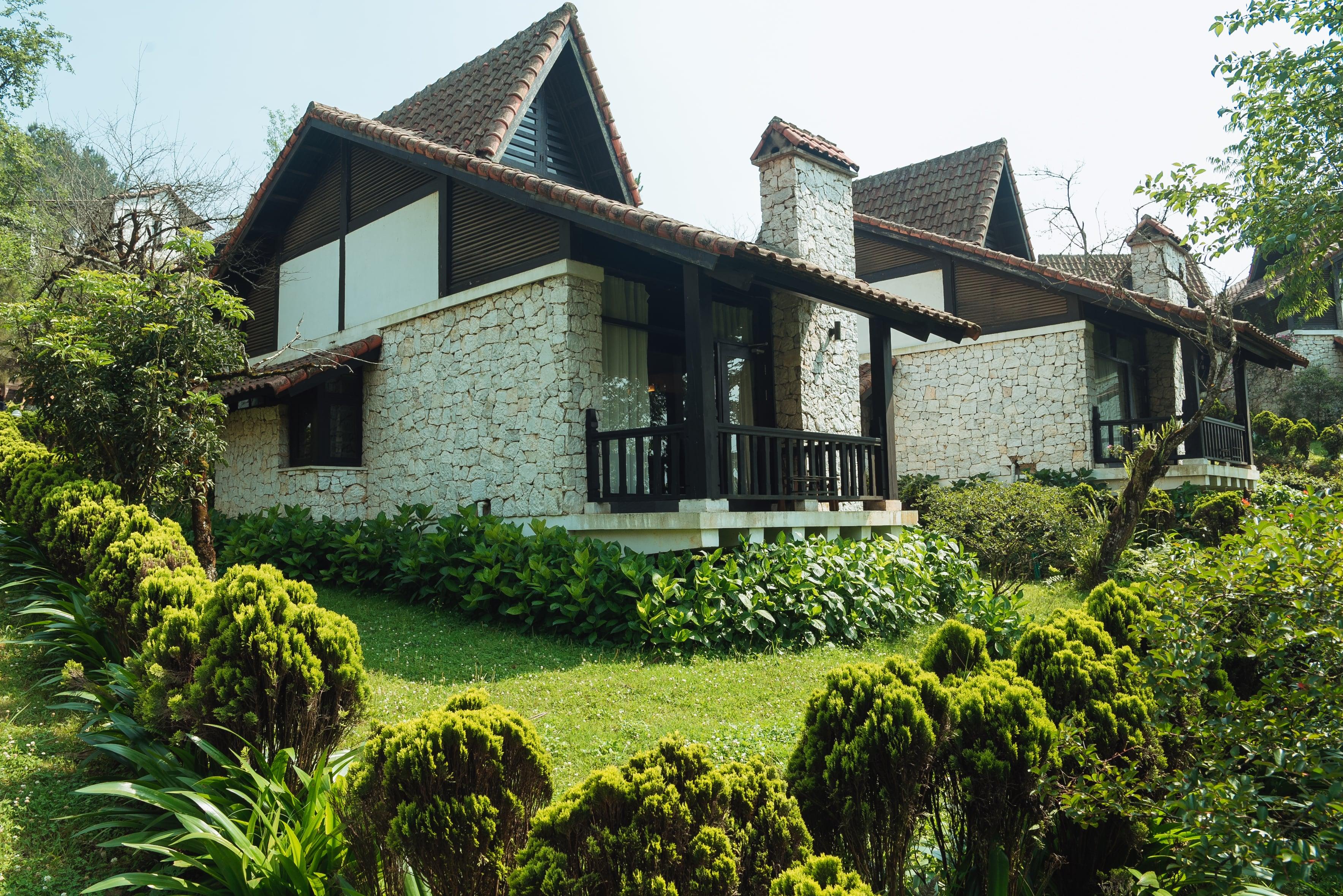 Jade Hill & Шапа