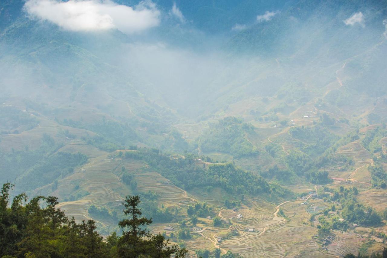 Jade Hill & Шапа